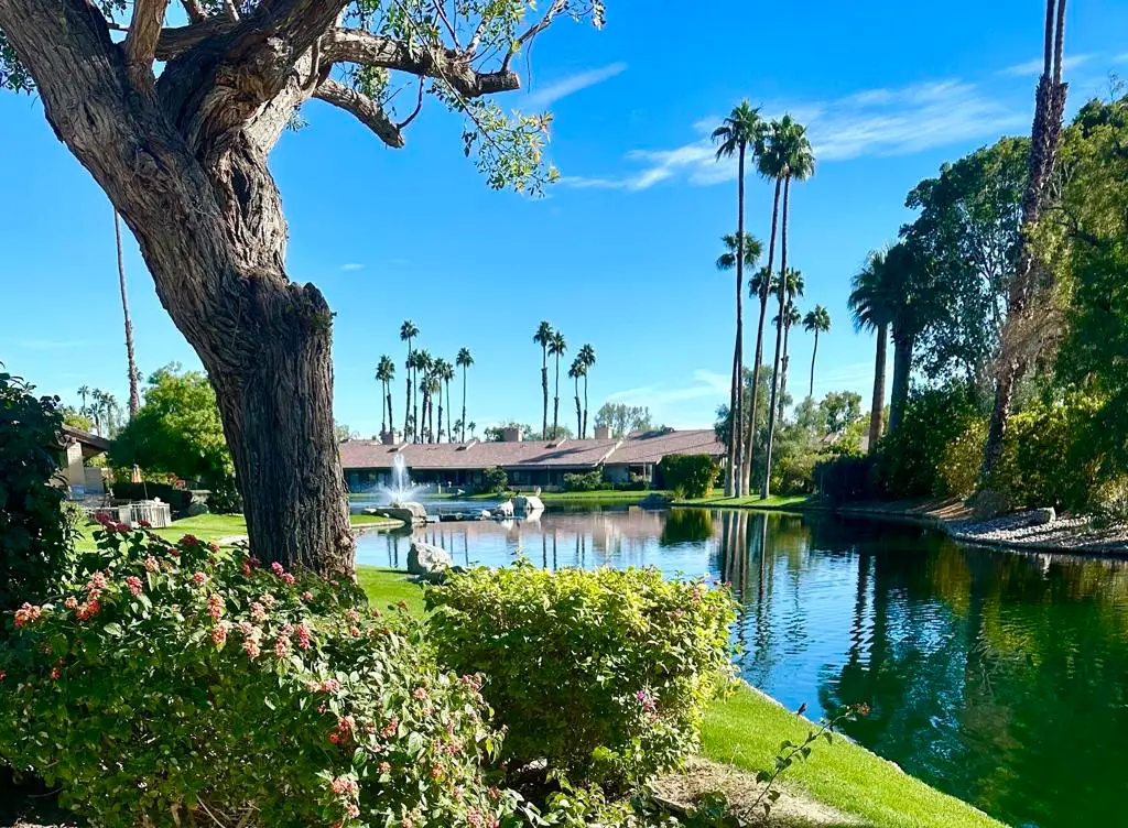 343 Bouquet Canyon Drive, Palm Desert, CA 92211 - #1