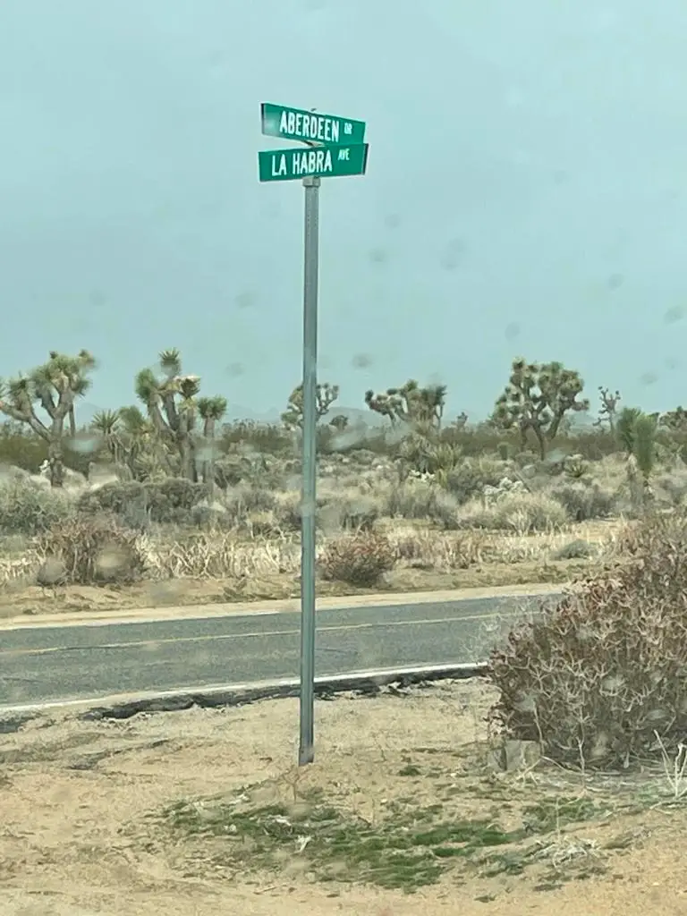 58383 Beaver Tail Lane, Yucca Valley, CA 92284 - #1