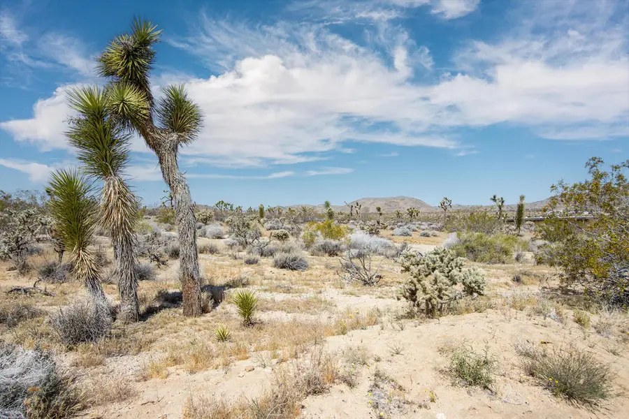 6655 Saddleback Road, Joshua Tree, CA 92252 - #3
