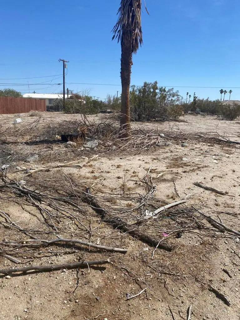 2876 Cerritos Avenue, Thermal, CA 92274 - #1