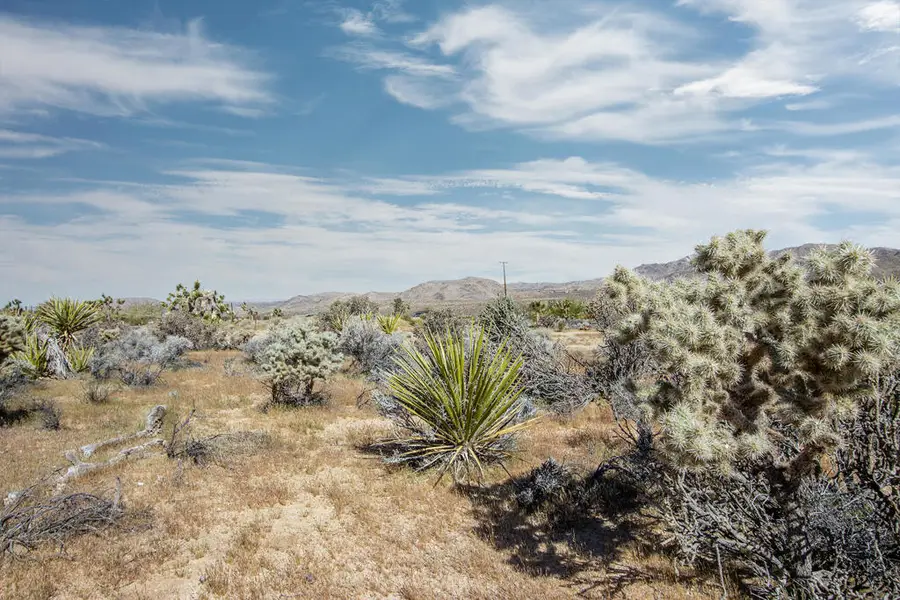 102 Saddleback Road, Joshua Tree, CA 92252 - #3