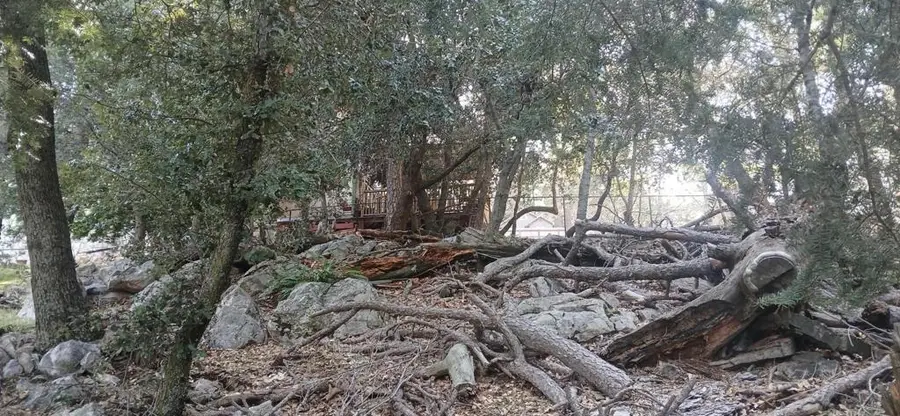 0 Alder Creek Road, Crestline, CA 92325 - #3