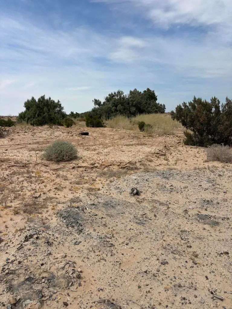 3343 Sweet Road, Imperial, CA 92251 - #1