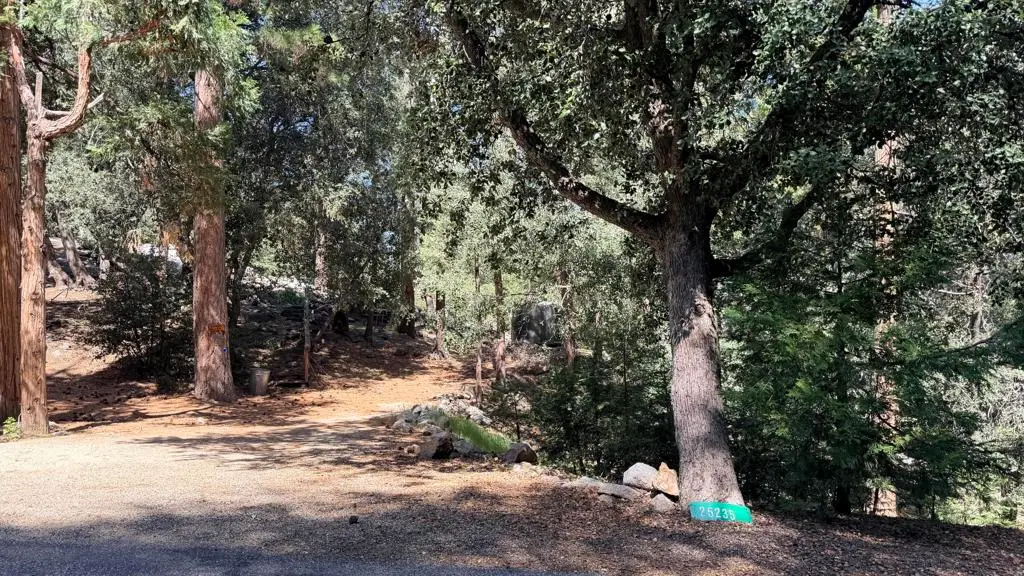 25235 Nestwa Trail, Idyllwild, CA 92549 - #1