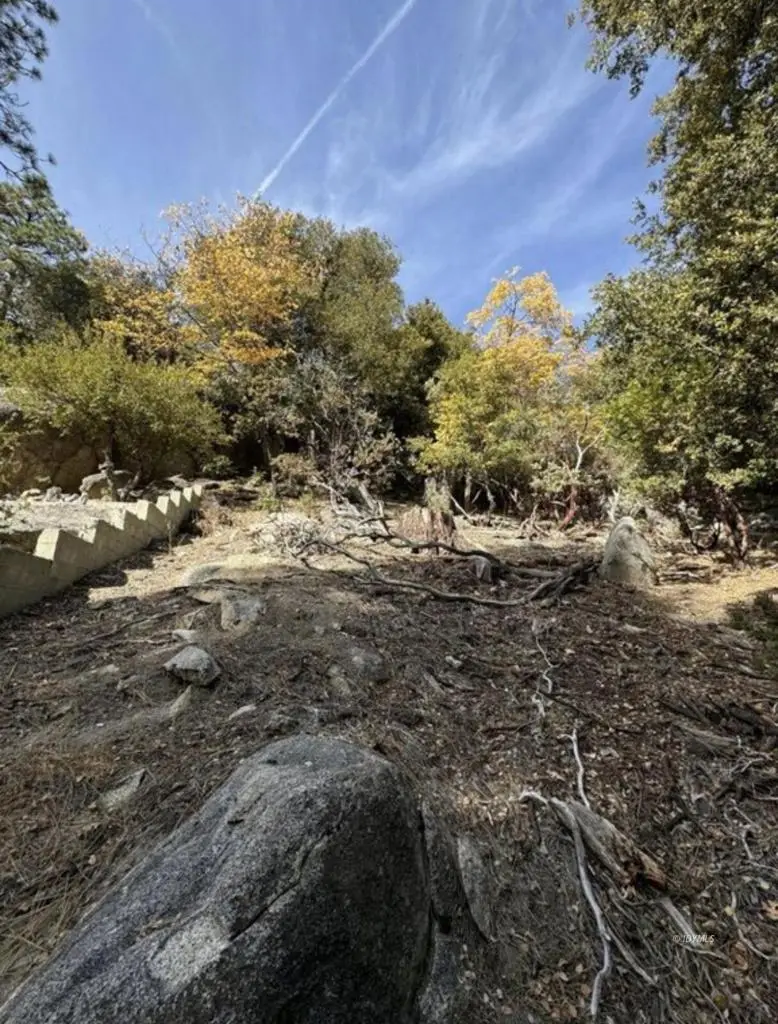 53642 Jeffrey Pine Court, Idyllwild, CA 92549 - #3