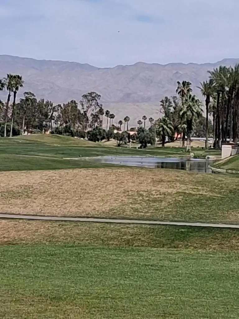 114 Alcola Circle, Palm Desert, CA 92211 - #1