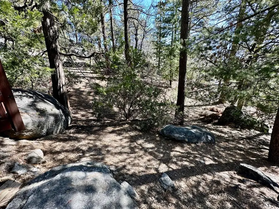 53226 Overlook Drive, Idyllwild, CA 92549 - #2