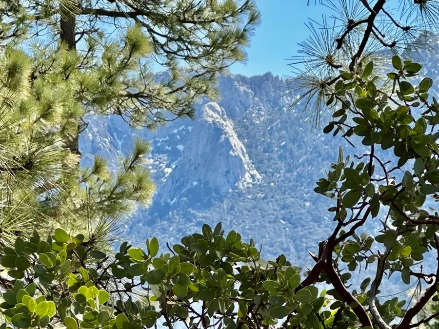 53226 Overlook Drive, Idyllwild, CA 92549 - #3