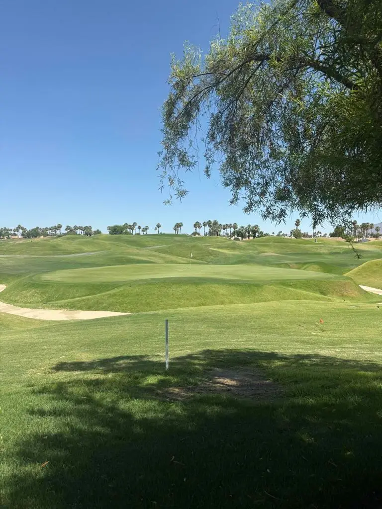 54116 Oak Tree #A142, La Quinta, CA 92253 - #1