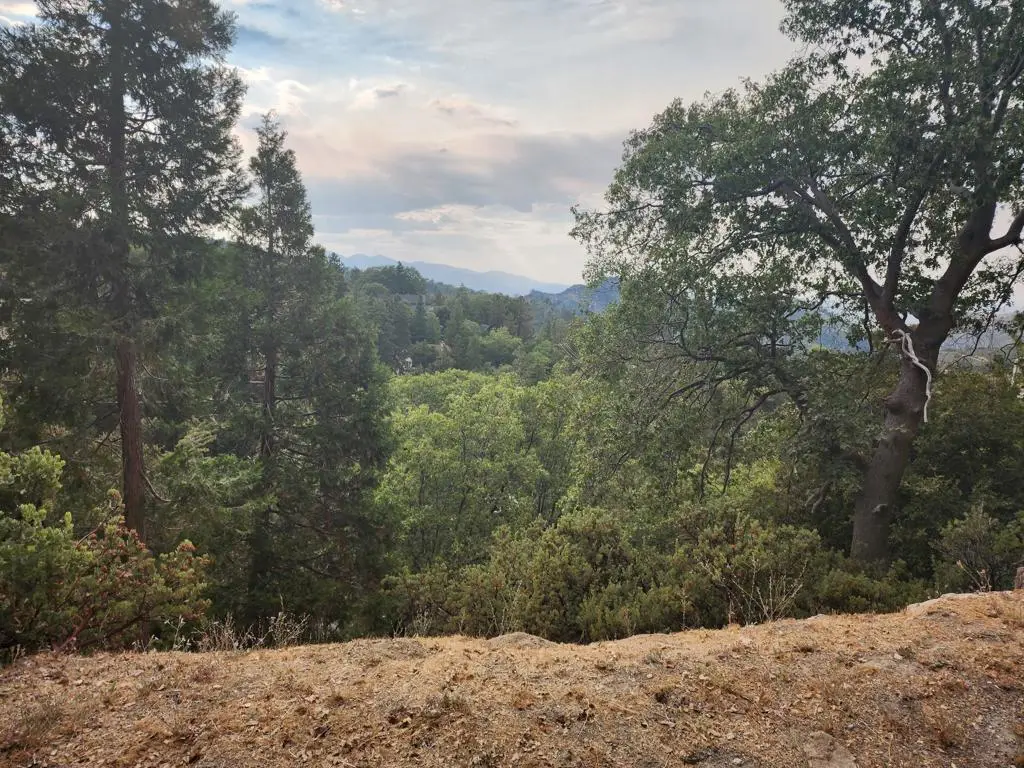 0 Evergreen Lane, Lake Arrowhead, CA 92352 - #1