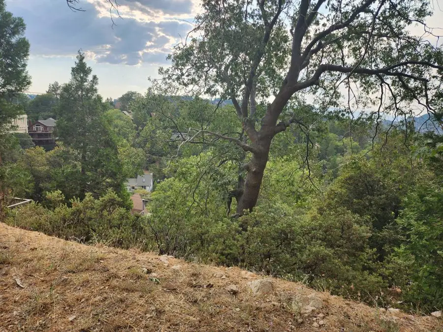 0 Evergreen Lane, Lake Arrowhead, CA 92352 - #3