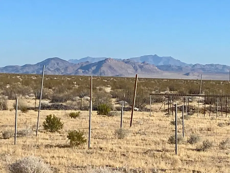 104 Joshua Tree Road, Johnson Valley, CA 92285 - #3
