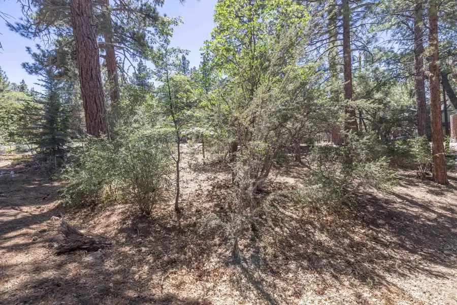 810 Vista Avenue, Sugarloaf, CA 92386 - #2