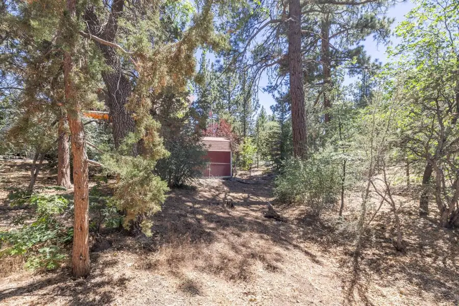 810 Vista Avenue, Sugarloaf, CA 92386 - #3