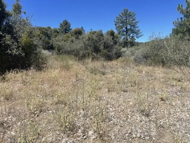 0 Devils Ladder, Mountain Center, CA 92561 - #2