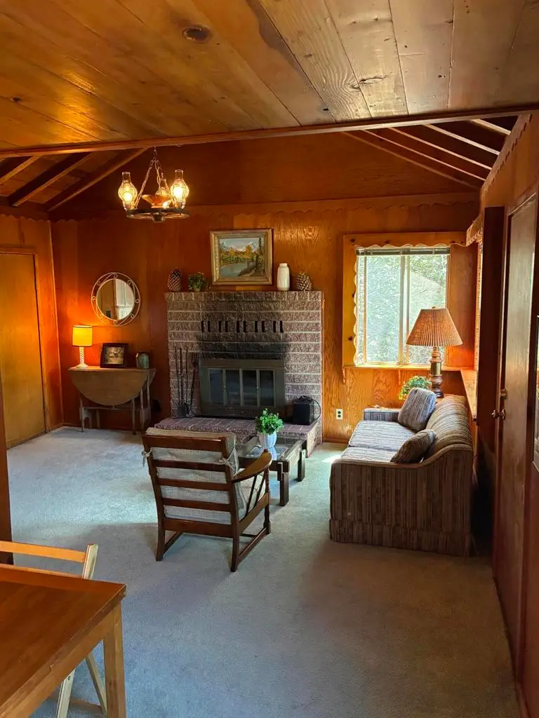 53033 Mountain View Drive, Idyllwild, CA 92549 - #2