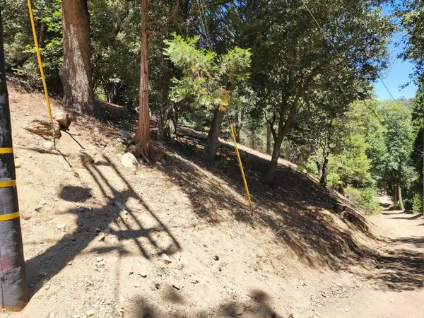 0 Burnt Mill Canyon Road, Cedarpines Park, CA 92322
