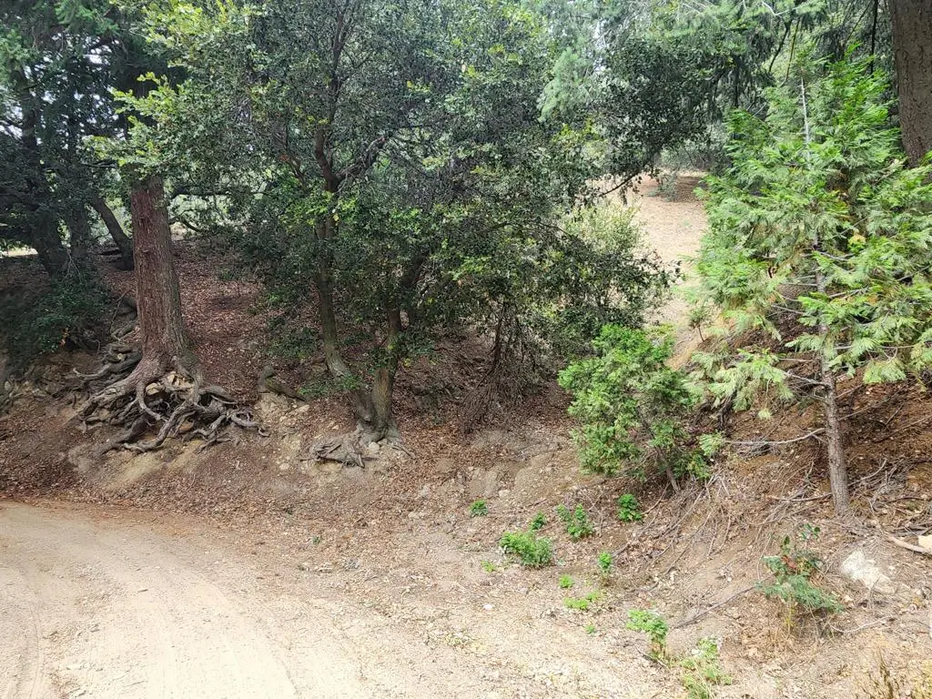 0 Fern Canyon Road, Crestline, CA 92325 - #1