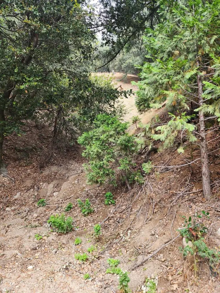 0 Fern Canyon Road, Crestline, CA 92325 - #2