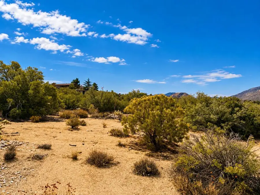 217 Chalet Drive, Mountain Center, CA 92561 - #2