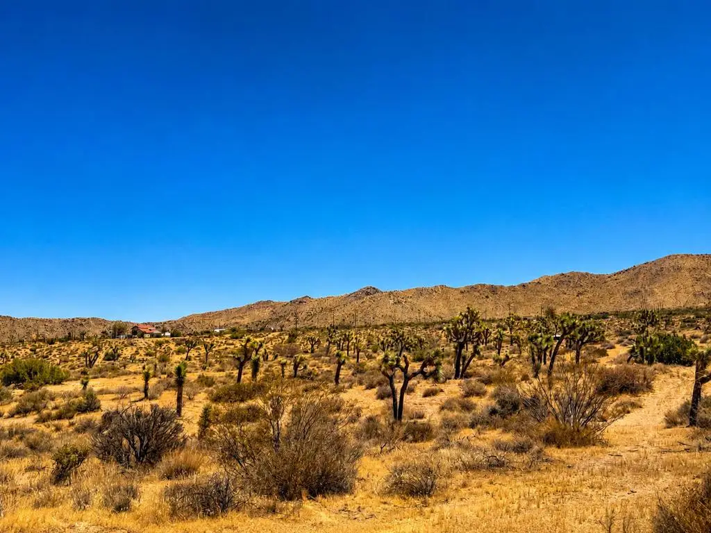 58920 Lisbon Drive, Yucca Valley, CA 92284 - #1