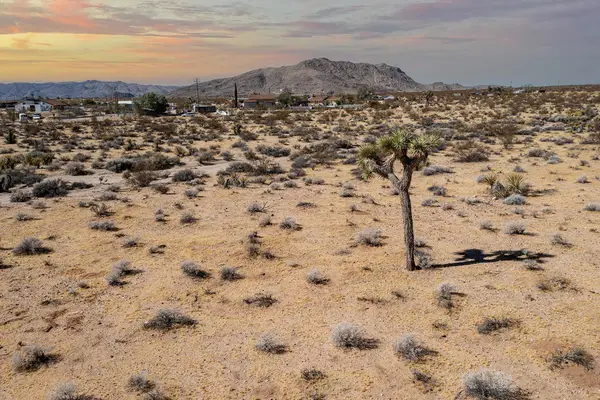 204 Avenida Del Sol, Joshua Tree, CA 92252