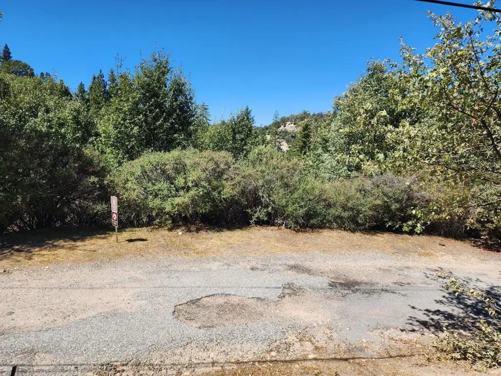 522 Elder Drive, Cedar Glen, CA 92321 - #1