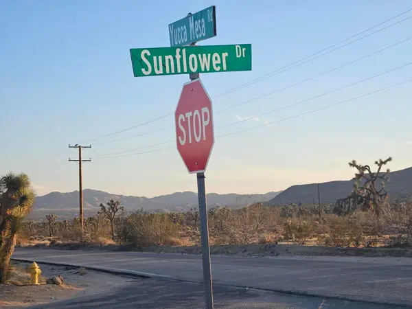 10 Yucca Mesa Road, Yucca Valley, CA 92284
