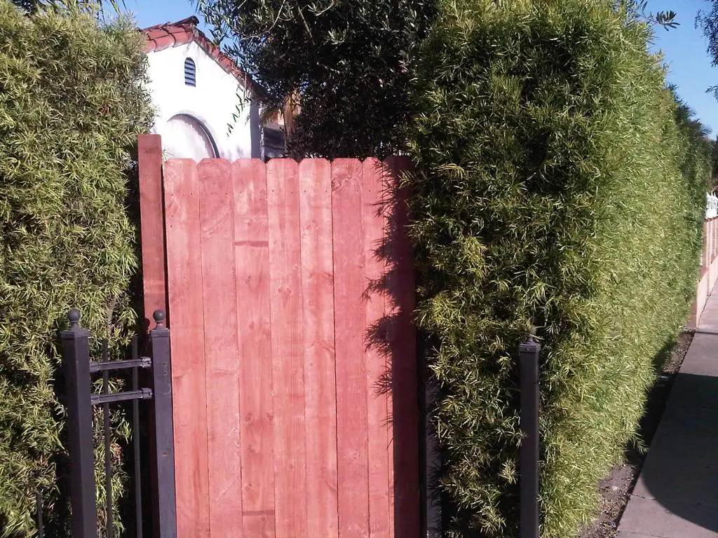 2227 S Redondo Boulevard, Los Angeles, CA 90016 - #1