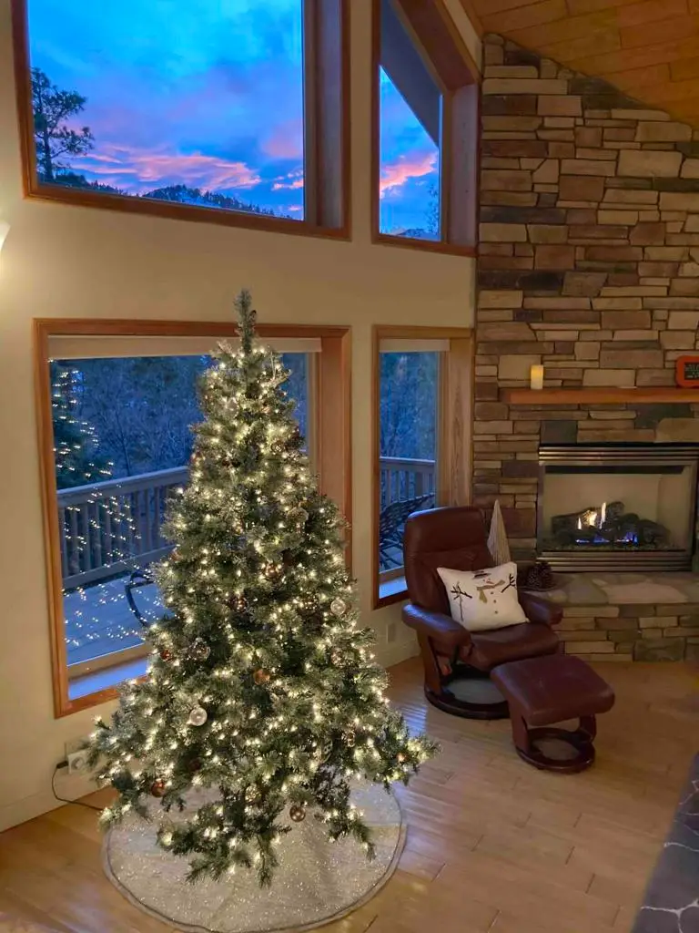 1432 Rockspray Drive, Big Bear, CA 92315 - #3