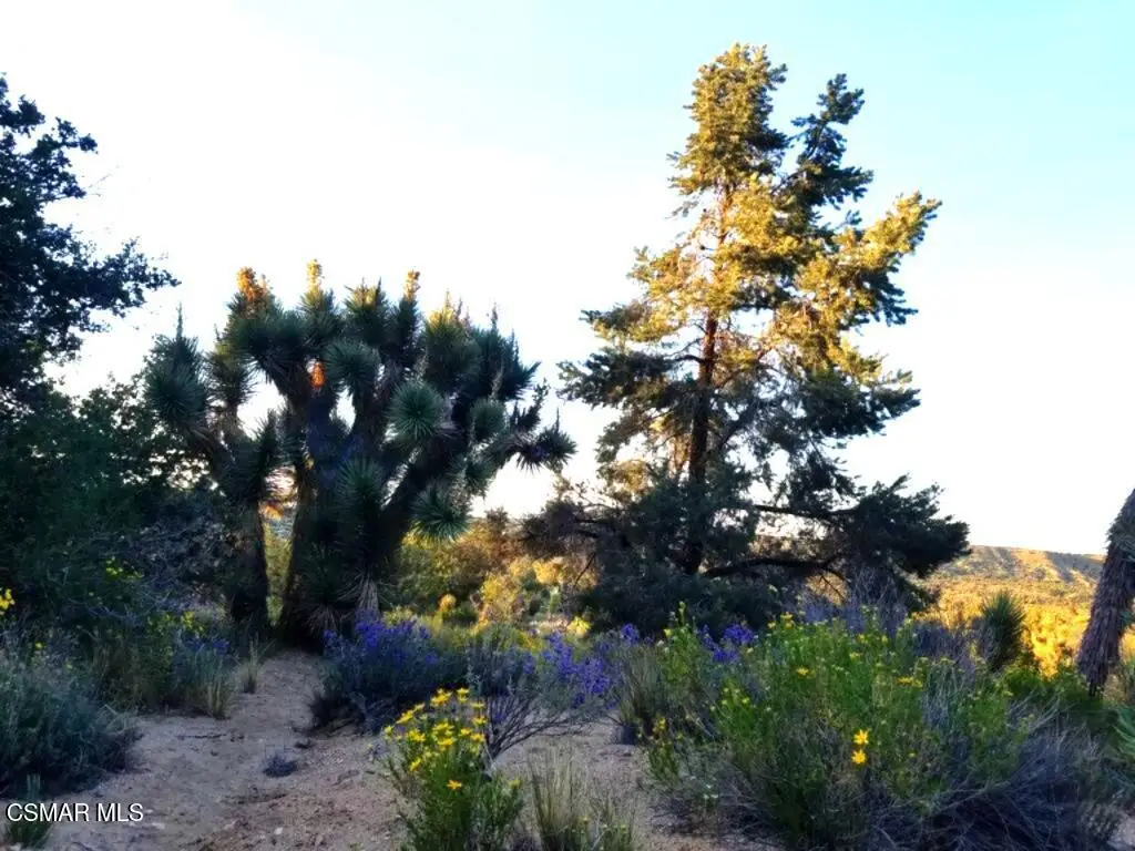 Off Big Pines Hwy. Road, Llano, CA 93544 - #1