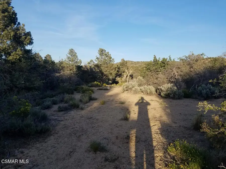 Off Big Pines Hwy. Road, Llano, CA 93544 - #3