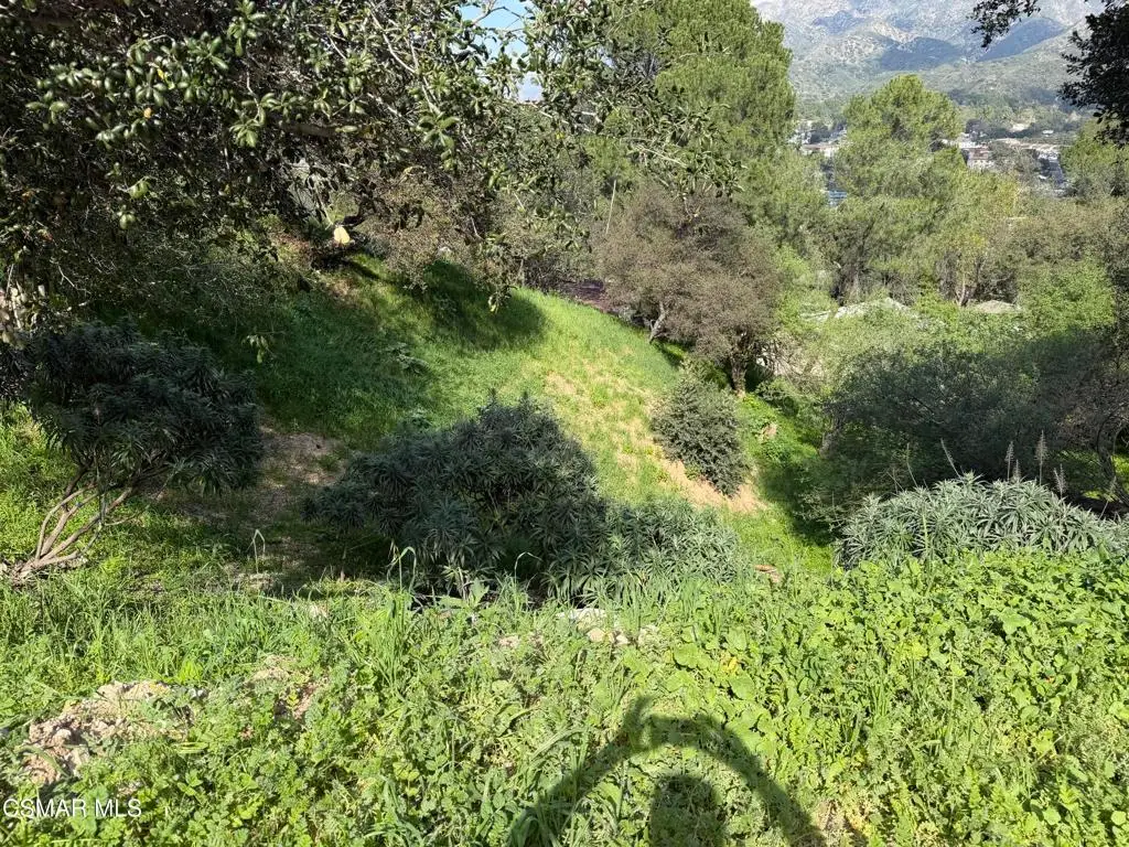 Flora Morgan Trail, Tujunga, CA 91042 - #1