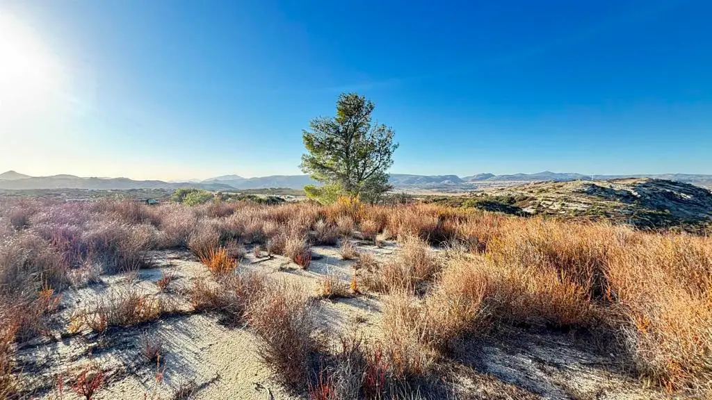 0 Forrest Gate Rd., Campo, CA 91906 - #1
