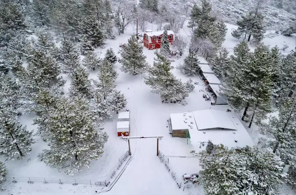 8203 Morris Ranch Road, Mount Laguna, CA 91948