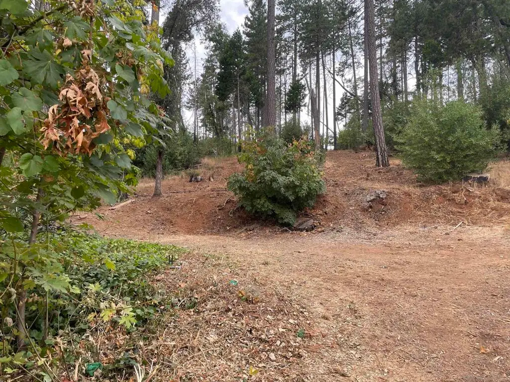 5930 Fickett Ln, Paradise, CA 95969 - #1