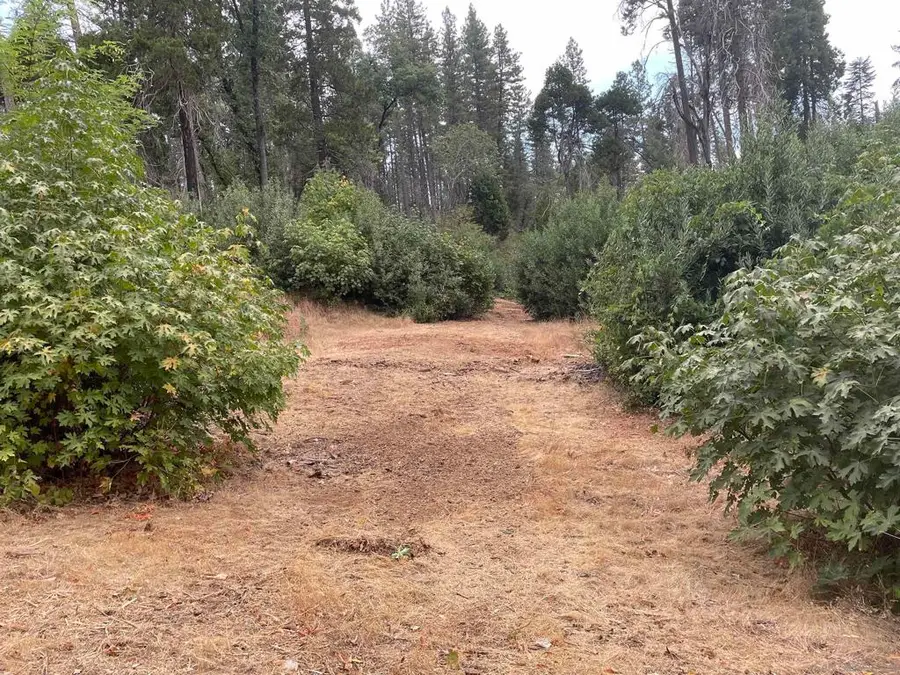 5930 Fickett Ln, Paradise, CA 95969 - #3