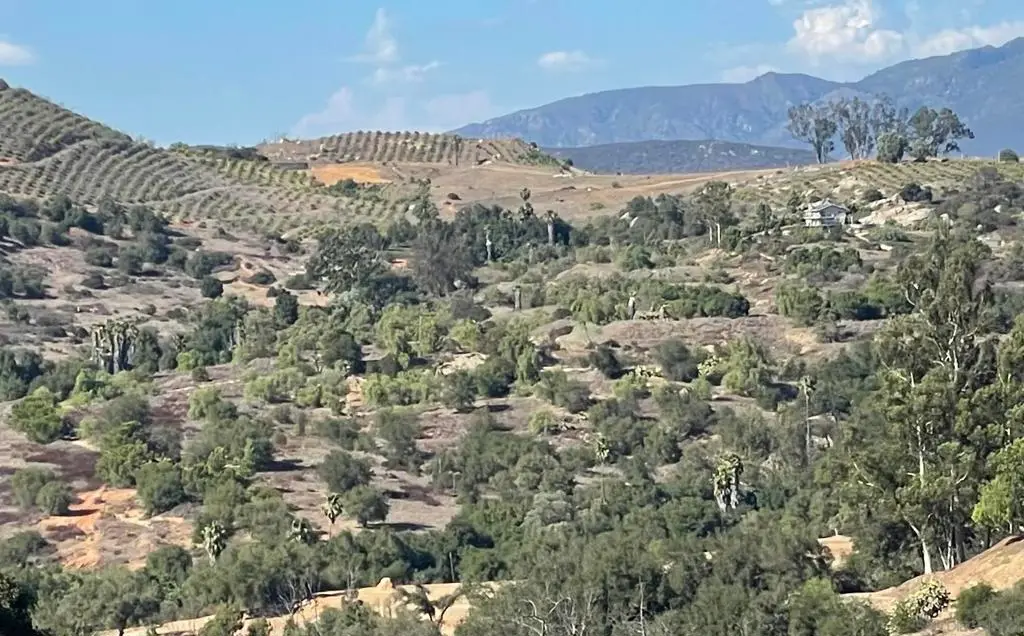 77 Jeffrey Heights Rd, Valley Center, CA 92082 - Image #1