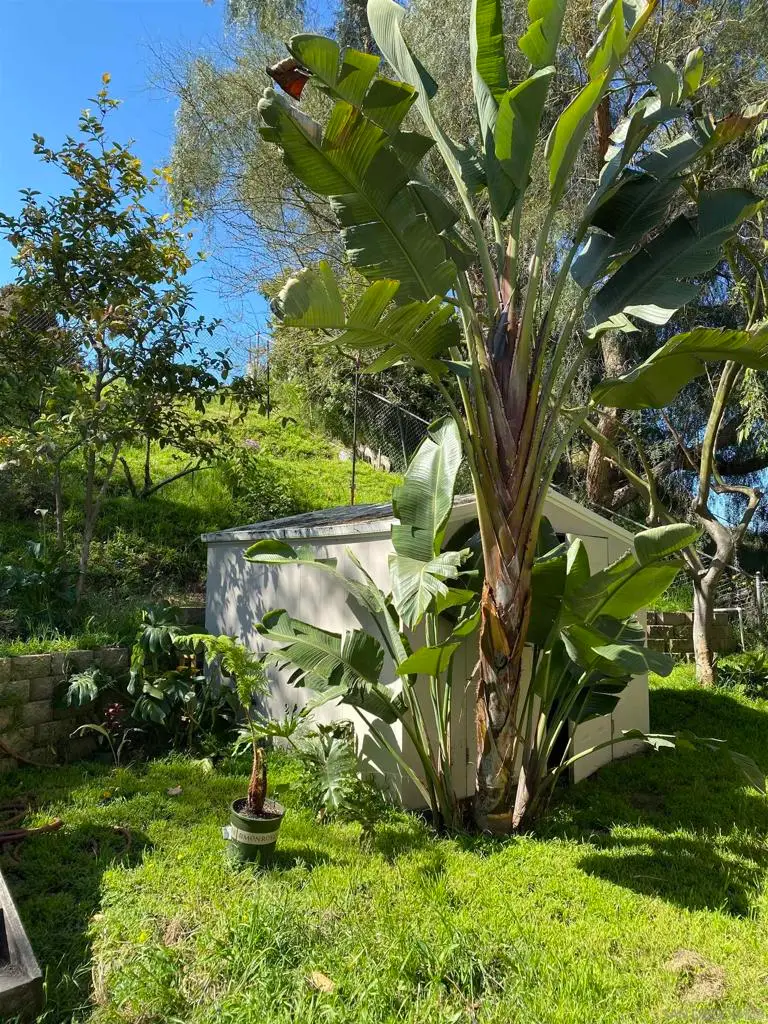 5015 Macario Dr, Oceanside, CA 92057 - Image #2