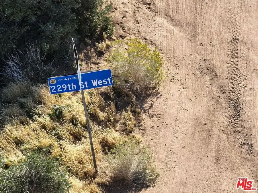 229 Vac/229 Stw Drt /vic Avenue E1, Lake Hughes, CA 93532 - #2