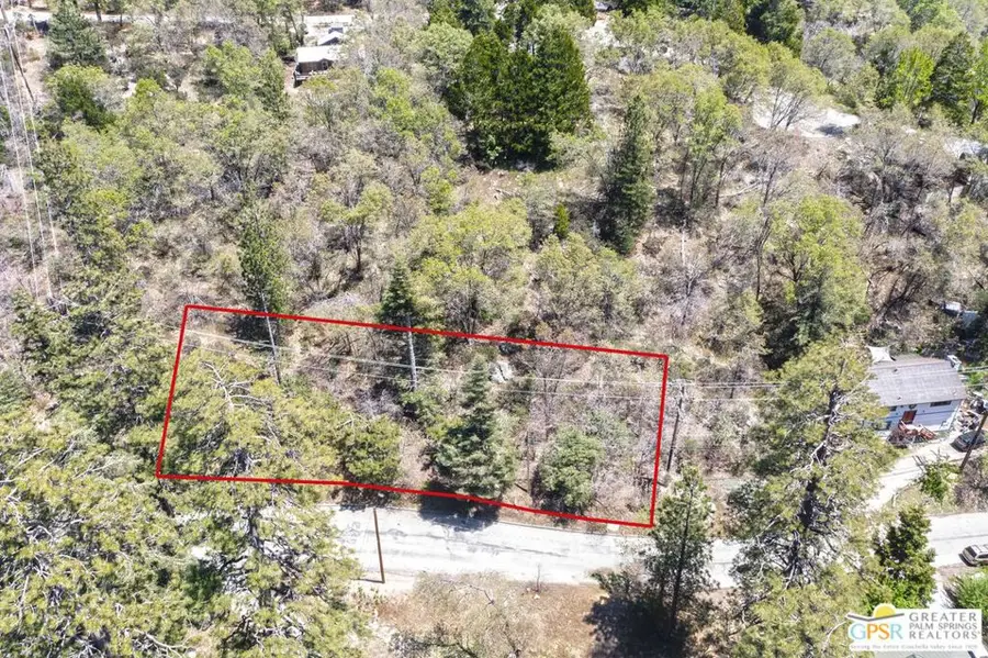 6011 Mountain Home Creek Road, Angelus Oaks, CA 92305 - #3