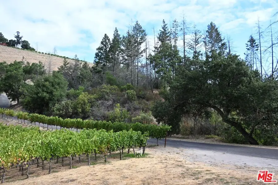 2910 Spring Mountain Road, Saint Helena, CA 94574 - #2