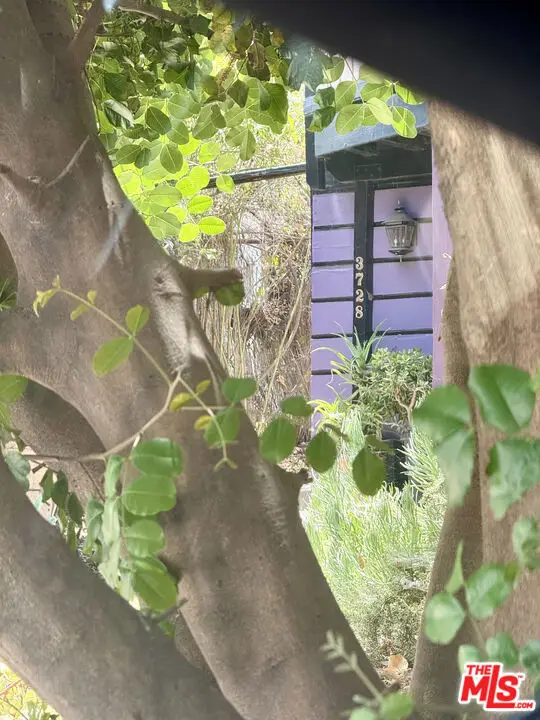 3728 York Boulevard, Los Angeles, CA 90065