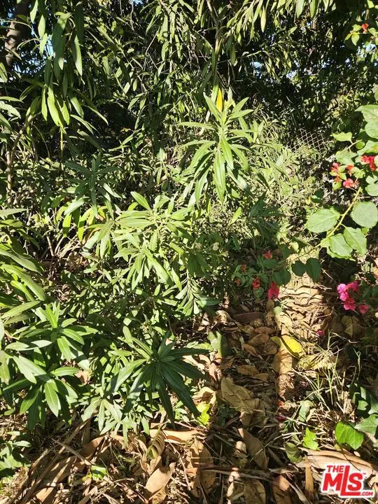 4299 Madison Avenue, Culver City, CA 90232 - #2