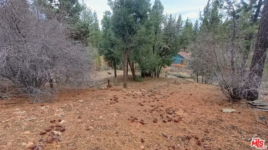 384 Cinderella Drive, Big Bear City, CA 92314 - #2