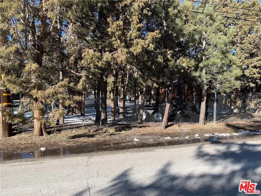 0 E Mountain View Boulevard, Big Bear City, CA 92314 - #3