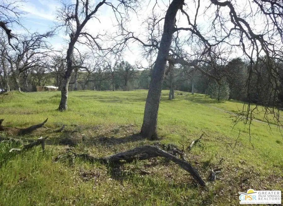 17333 Wagon Wheel Drive, Corning, CA 96021 - Image #2