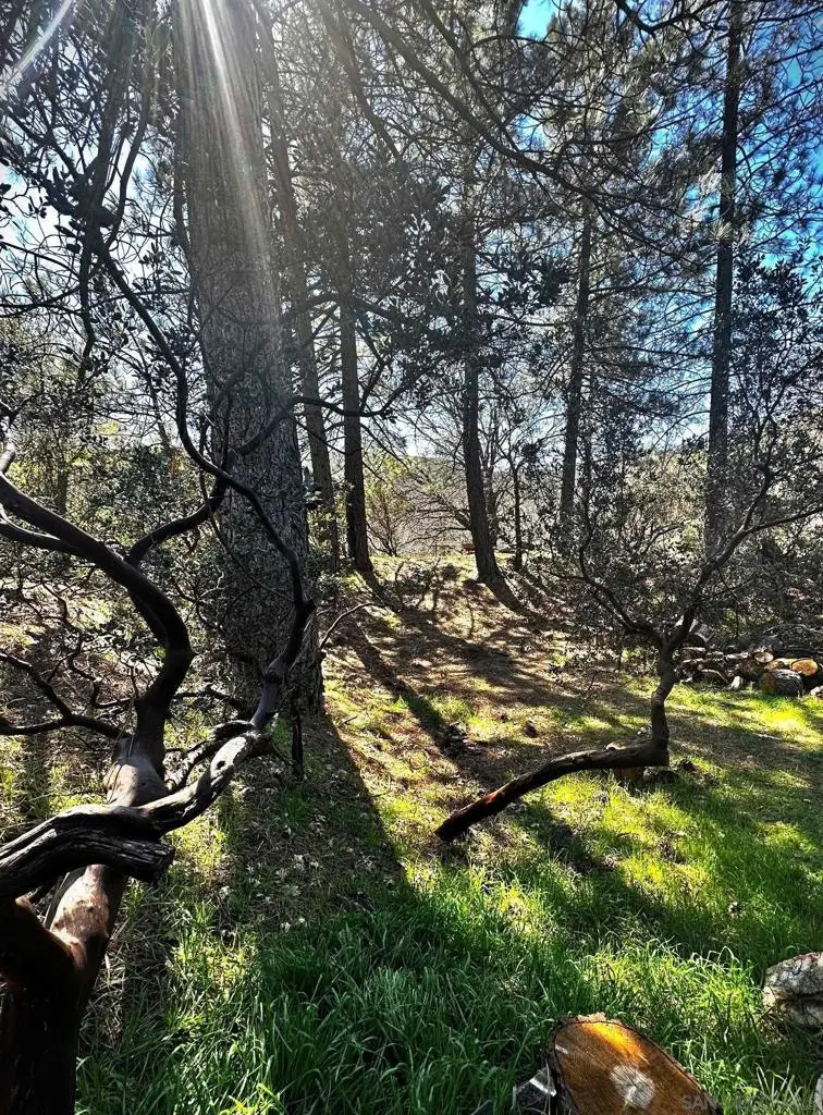 721 Pine Cone Drive, Julian, CA 92036 - #3