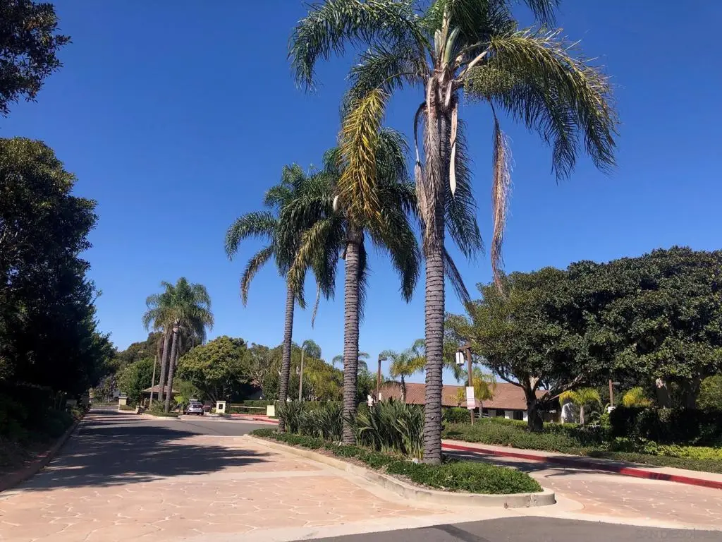 6645 Caminito Scioto, La Jolla, CA 92037 - #1