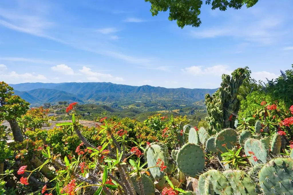 2384 Glenn Rd, Fallbrook, CA 92028 - #1